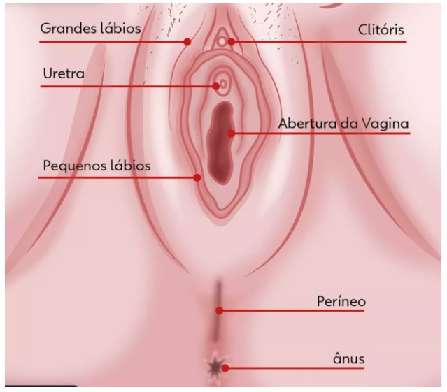 infeccao urinaria