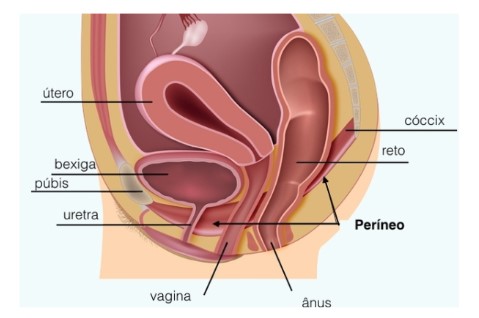 infeccao urinaria1